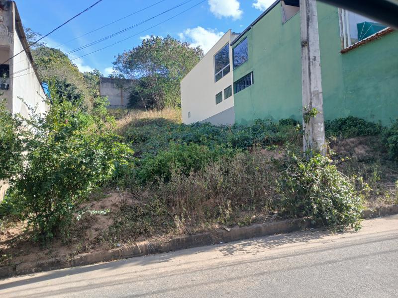 Lote